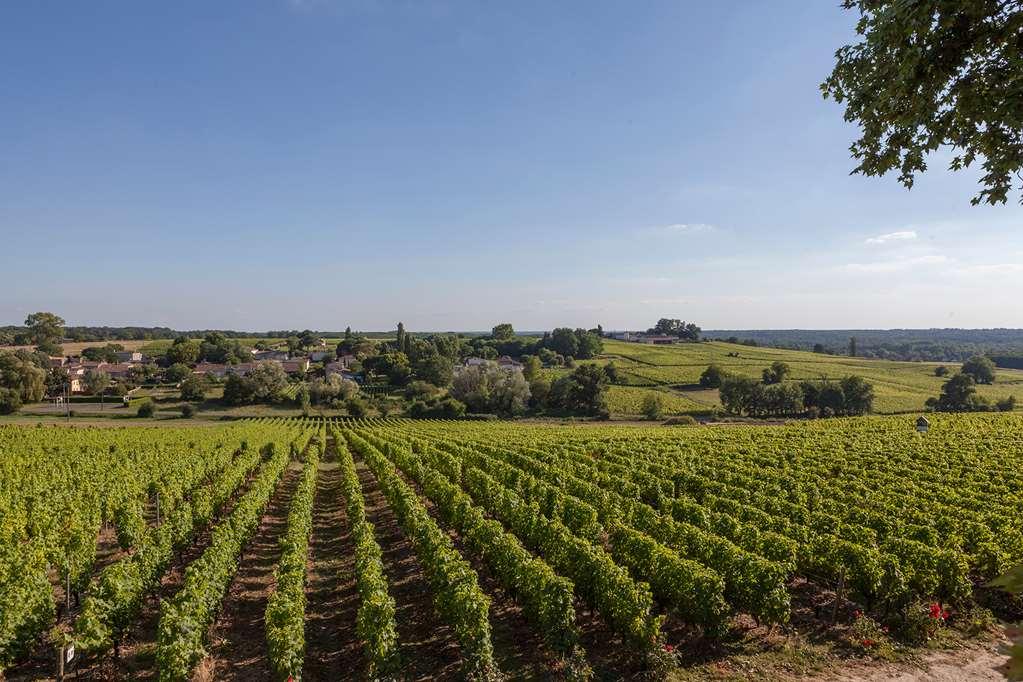 Hotel Du Chateau D'Arche, Grand Cru Classe De Sauternes Facilities photo