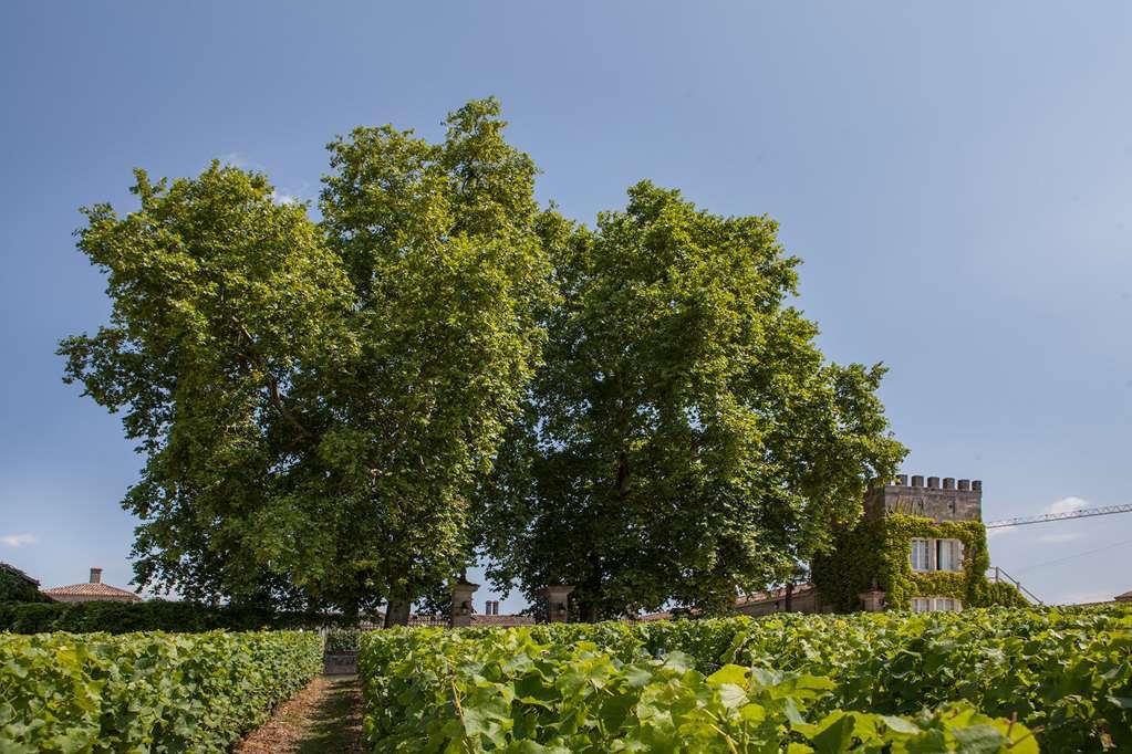 Hotel Du Chateau D'Arche, Grand Cru Classe De Sauternes Facilities photo