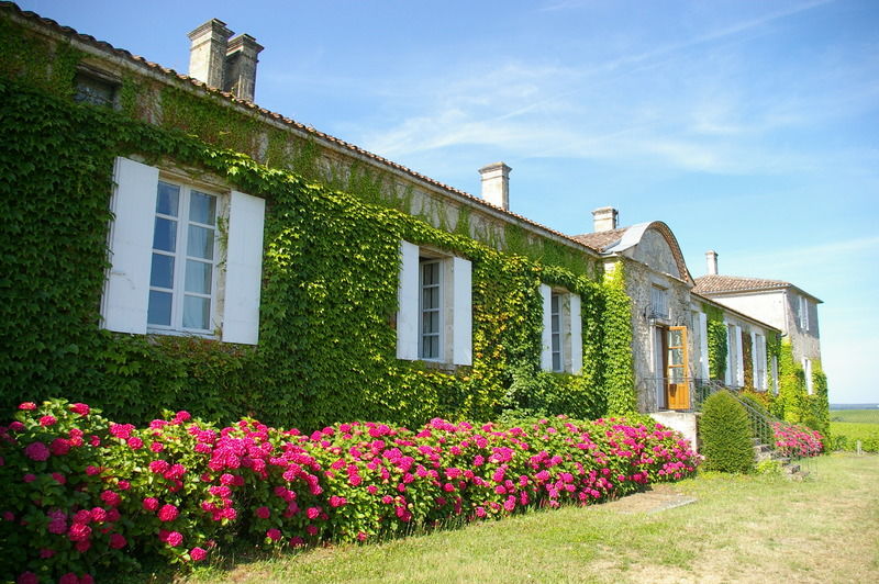 Hotel Du Chateau D'Arche, Grand Cru Classe De Sauternes Exterior photo